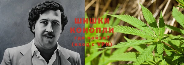 эйфоретик Абаза