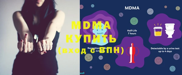 хмурый Пересвет