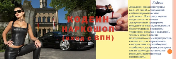 хмурый Пересвет
